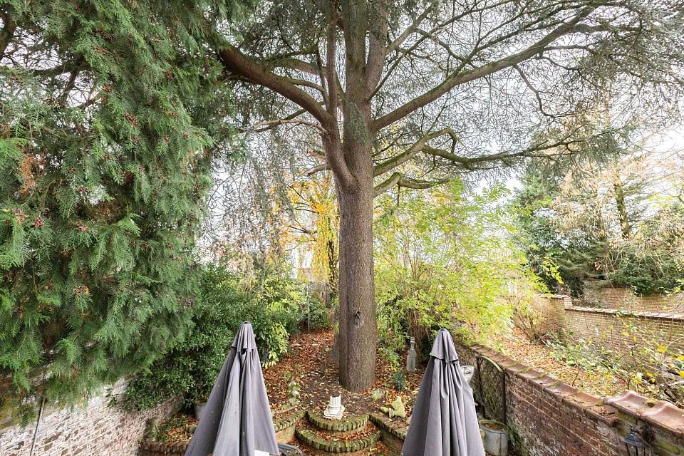 Fonds de commerce à remettre : restaurant + jardin + caves – 7